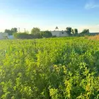 مزرعة للبيع شمال رياض الخبراء