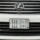 لوحه مميزه للبيع