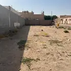 الذبية حفر الباطن