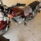 دباب بلوف للبيع