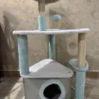 بيت بسه للبيع