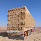 تبن بر 85.95 الدفع عند الوصول