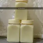 زيت زيتون عضوي علا ماء المطر شجر روماني