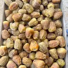 تمر سكري درجه اولى