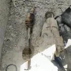 دفرنس كياموهافي2015 ع الشرط والظمان