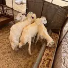 طريق الرياض