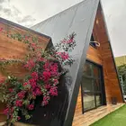 شاليهات للايجار اليومي العمارية