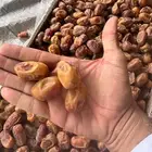 تمر خلاص طيب انتاج جديد وفاخر 1447