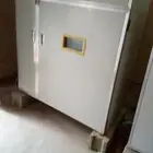 فقاسه لبيع