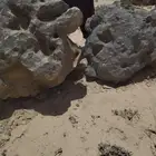 لبيع جميع احجار ازينه جمله وتاجزيه