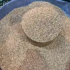 حب بر ( مباية ) بر المدانة