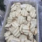 بقل جديد وحلو الكيلو 45 ريال