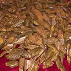عوده فاخره