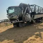 دينا ايسوزو 2023 مصدوم للبيع