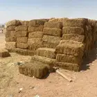 رودس فيه لزيق