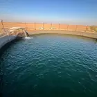 للبيع مزرعة في القرنه