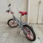 سيكل كوبرا