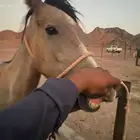 مهره شعبيه مميزه
