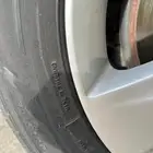 جنوط النترا