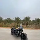 النوع هارلى فات بوي Fat boy