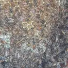 نحل بلدي عسال متنقل للبيع للتواصل