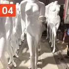 مجسمات مانيكان فيبر صيني الاصلي