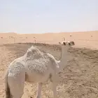 خلفه