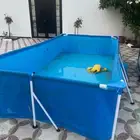 انباع