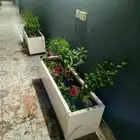 احواض زراعية فايبر جلاس