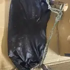 قربة صغيره للبيع