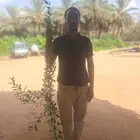 شتلات حنا ارتفاعت ممتازه