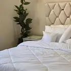 شقة مفروشة غرفتين وصالة بحي الروضة