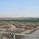 مزرعة قائمة بمركز ثاج بصك الاكتروني النعيرية