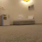 شقق للايجار