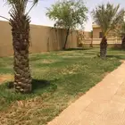 استراحه للايجار السنوي في بنبان شمال الرياض