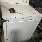 نشافه حراريه