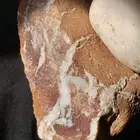 أحجار كريمة