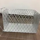 مصيدة قطط