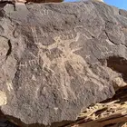 مرشد سياحي الربع الخالي نجران