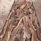 حطب سمر شرط