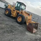 شيول صيني