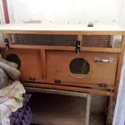 فقاسه يدويه علي الشرط حضانه صوص استعمال شهر