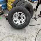 جنوط