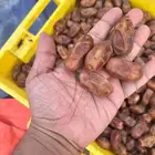 تمر سري مو مكنوز القصيم الاسياح