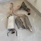 هدرز فوكس اصلي لاند