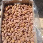 متوفر تمر اخلاص القرنه