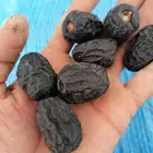 تمر عجوة للبيع