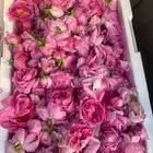 ورد طائفي ومنتجاته
