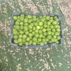 ليمون