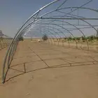 بيوت محميه للبيع